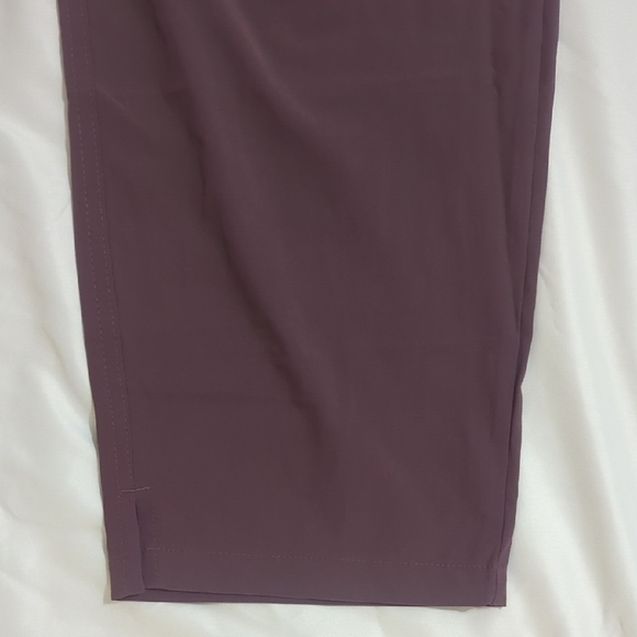 NWT Eddie Bauer Traveler Ankle Pant, Color People Size 2X - Picture 5 of 15
